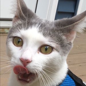 Meet your Posher, Marsha